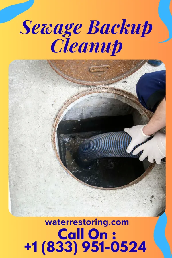 Sewage Backup Cleanup in Lakeview, MS