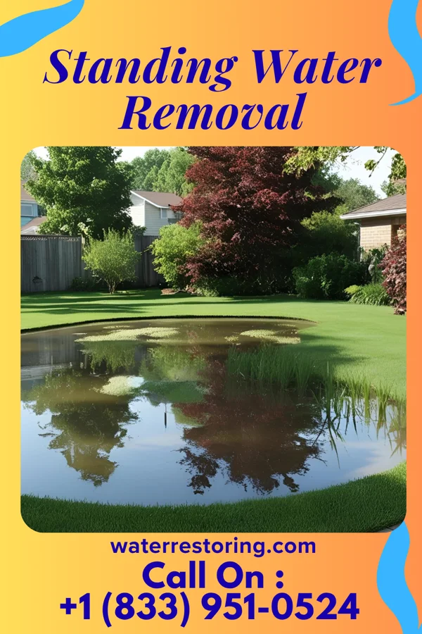 Standing Water Removal in Lakeview, MS